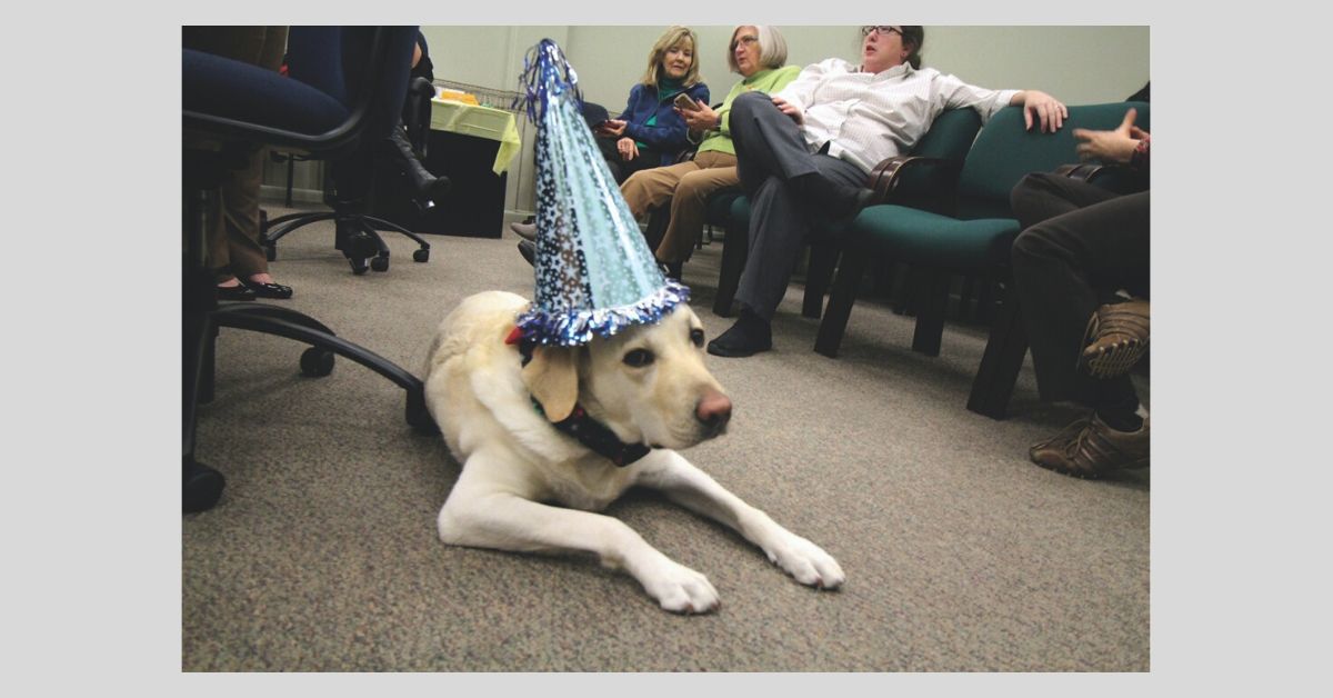 OTP_Jedibdayhat_2019.jpg